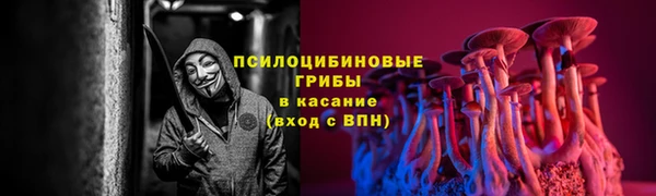 дурь Новокубанск