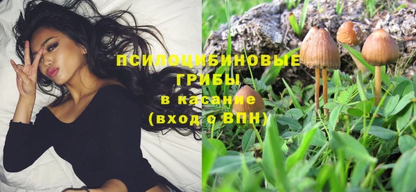 дурь Новокубанск