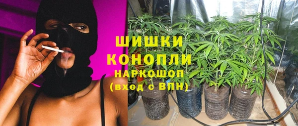 Альфа ПВП Гатчина