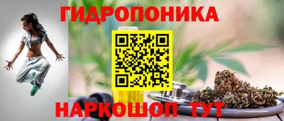 амф Балахна