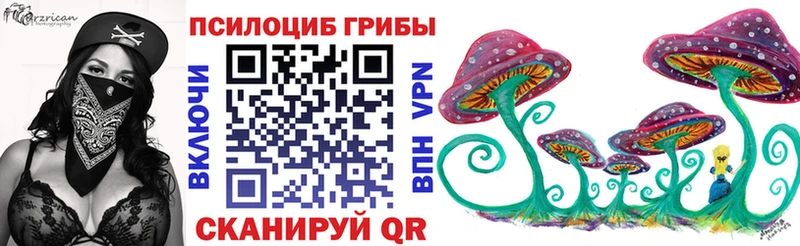 Галлюциногенные грибы Cubensis  KRAKEN   Торжок 