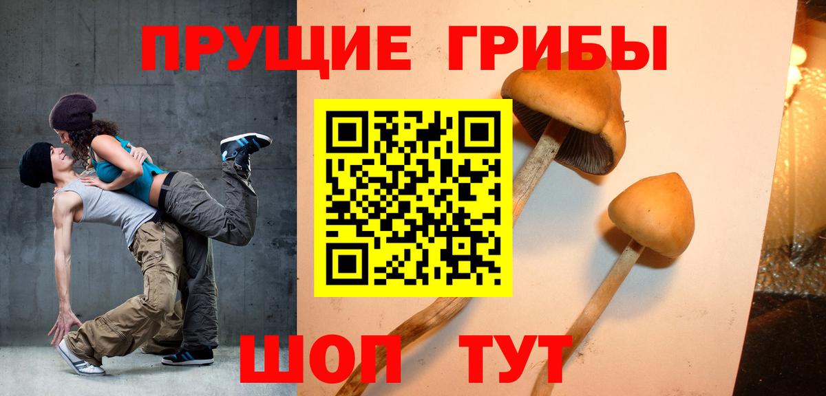 Галлюциногенные грибы GOLDEN TEACHER Торжок