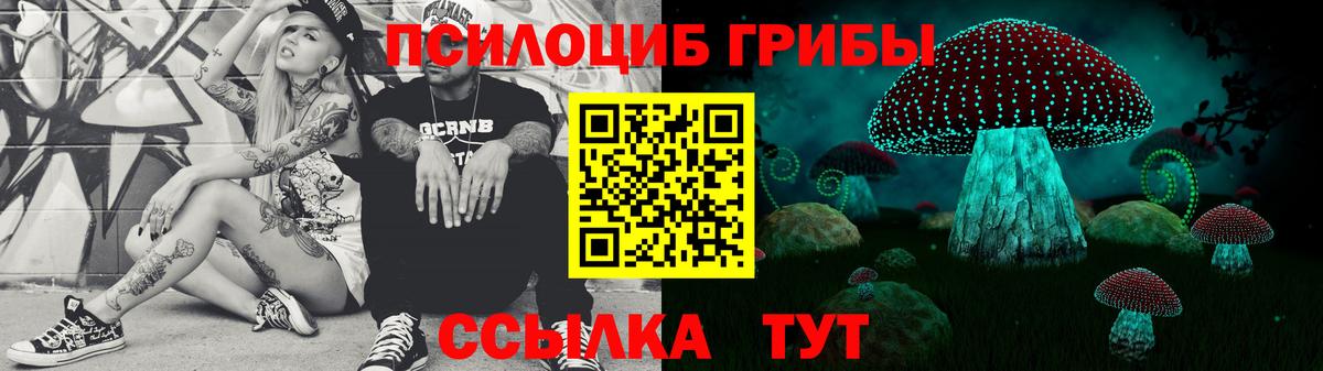 Псилоцибиновые грибы ЛСД  Вход с VPN  Торжок  Псилоцибиновые грибы MAGIC MUSHROOMS 