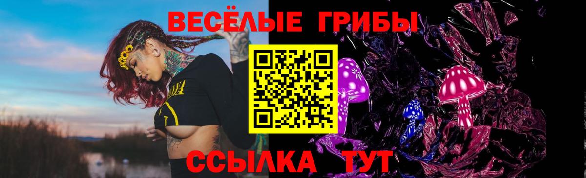 Галлюциногенные грибы Magic Shrooms Торжок